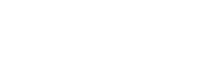Brahmaputra Logo