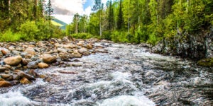 River
